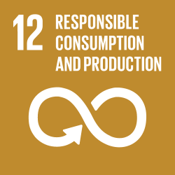 Global Goal 12: Responsible Consumption and Production – symbol with white infinity sign and arrow on yellow background.