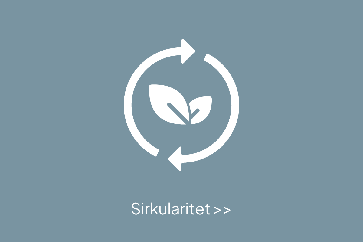 Sirkularitet